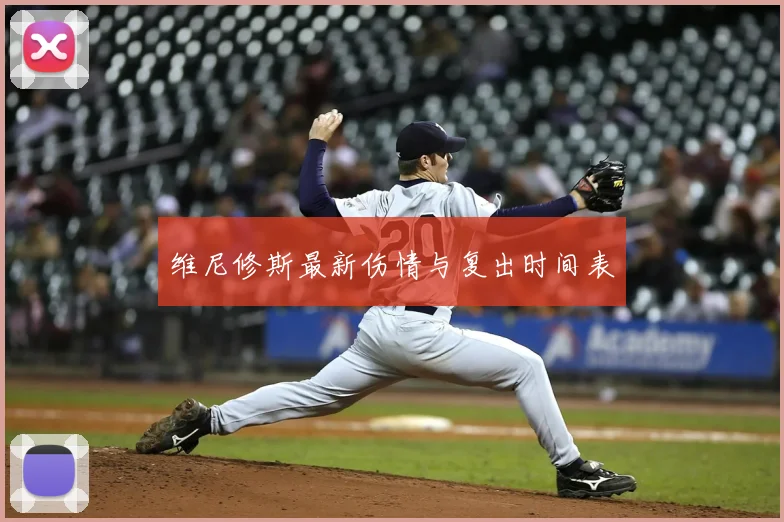 维尼修斯最新伤情与复出时间表